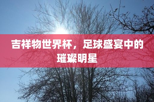 吉祥物世界杯，足球盛宴中的璀璨明星