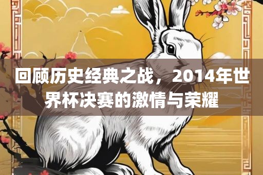 回顾历史经典之战，2014年世界杯决赛的激情与荣耀