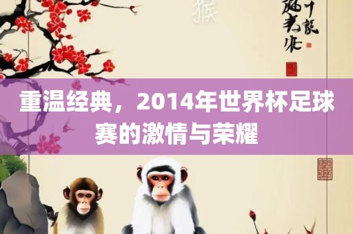 重温经典，2014年世界杯足球赛的激情与荣耀