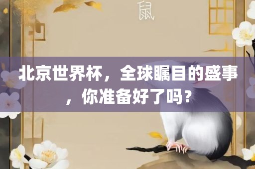北京世界杯，全球瞩目的盛事，你准备好了吗？