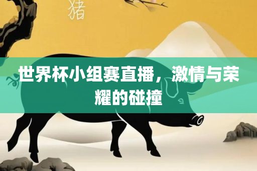 世界杯小组赛直播，激情与荣耀的碰撞