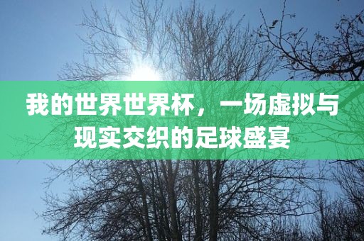我的世界世界杯，一场虚拟与现实交织的足球盛宴