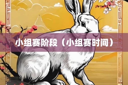 小组赛阶段（小组赛时间）