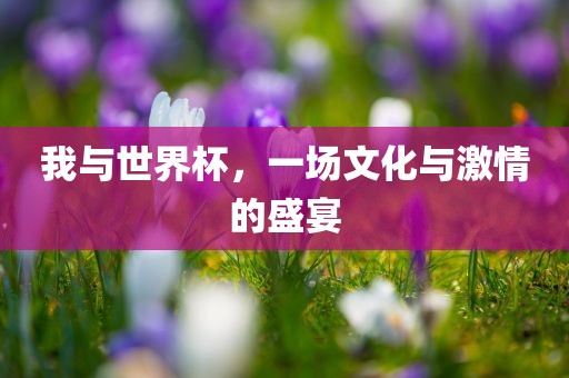 我与世界杯，一场文化与激情的盛宴