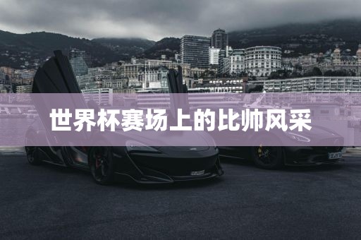 世界杯赛场上的比帅风采