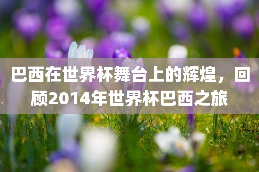 巴西在世界杯舞台上的辉煌，回顾2014年世界杯巴西之旅