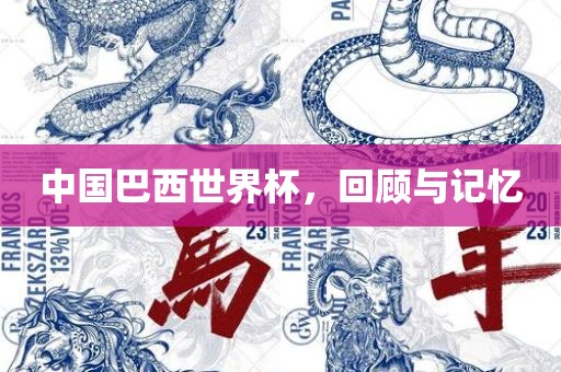 中国巴西世界杯，回顾与记忆