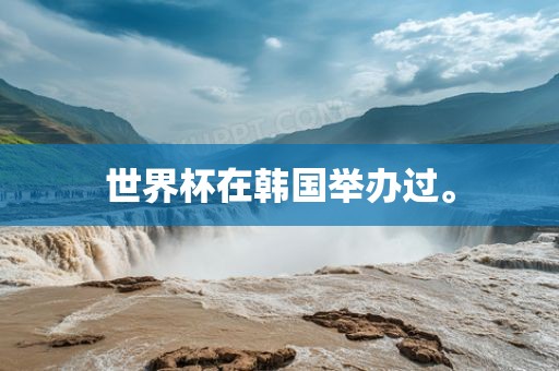 世界杯在韩国举办过。