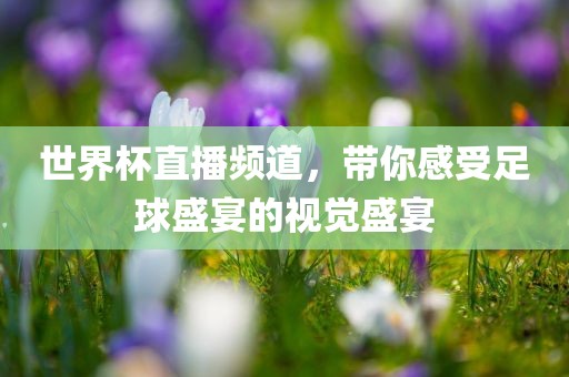 世界杯直播频道，带你感受足球盛宴的视觉盛宴