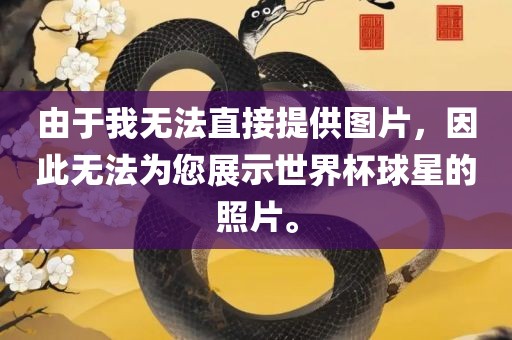 由于我无法直接提供图片，因此无法为您展示世界杯球星的照片。