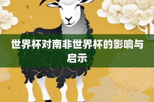 世界杯对南非世界杯的影响与启示