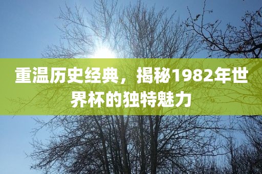 重温历史经典，揭秘1982年世界杯的独特魅力