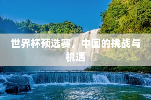 世界杯预选赛，中国的挑战与机遇
