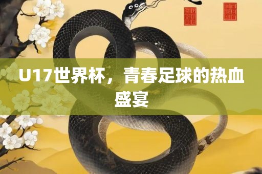 U17世界杯，青春足球的热血盛宴