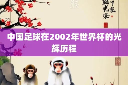 中国足球在2002年世界杯的光辉历程