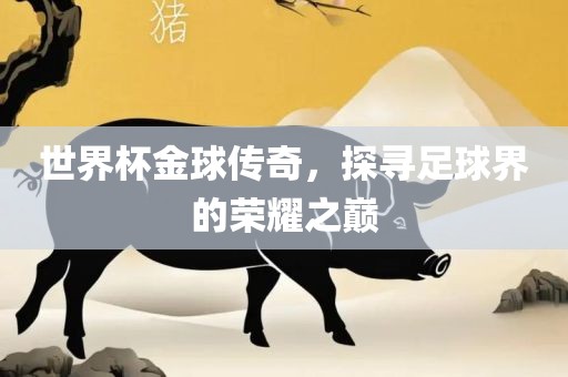 世界杯金球传奇，探寻足球界的荣耀之巅