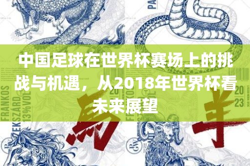 中国足球在世界杯赛场上的挑战与机遇，从2018年世界杯看未来展望