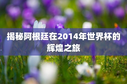 揭秘阿根廷在2014年世界杯的辉煌之旅