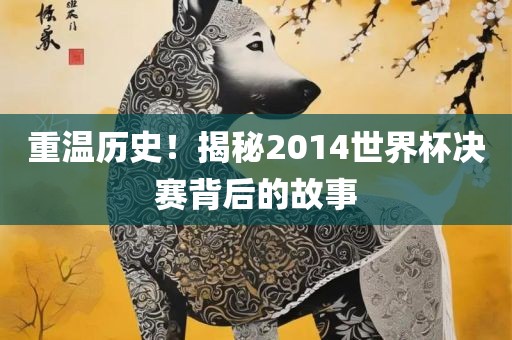 重温历史！揭秘2014世界杯决赛背后的故事