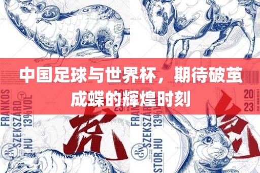 中国足球与世界杯，期待破茧成蝶的辉煌时刻