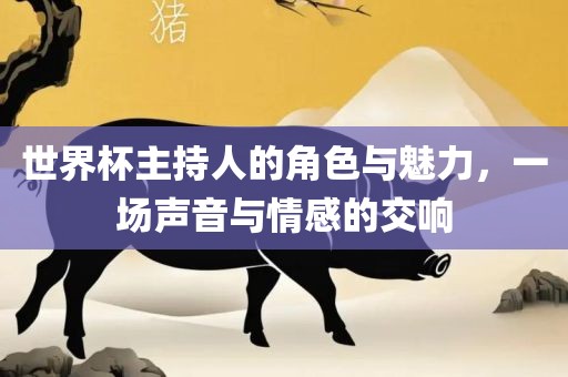 世界杯主持人的角色与魅力，一场声音与情感的交响