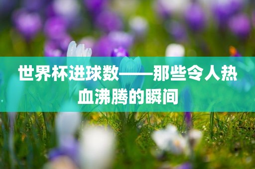 世界杯进球数——那些令人热血沸腾的瞬间