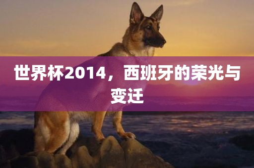 世界杯2014，西班牙的荣光与变迁