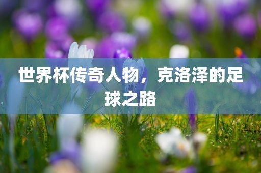 世界杯传奇人物，克洛泽的足球之路