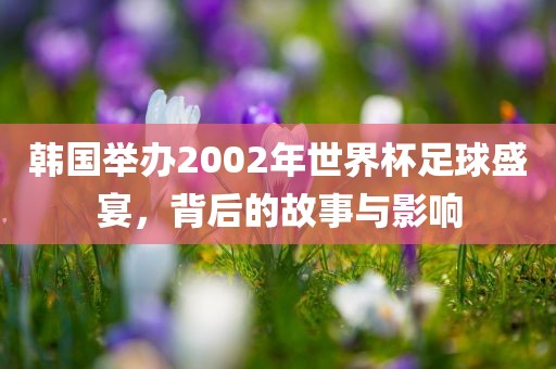 韩国举办2002年世界杯足球盛宴，背后的故事与影响