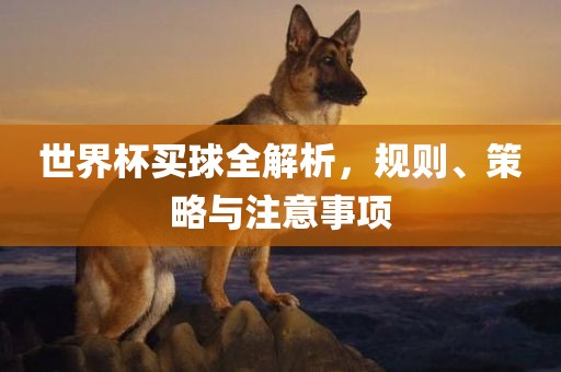 世界杯买球全解析，规则、策略与注意事项
