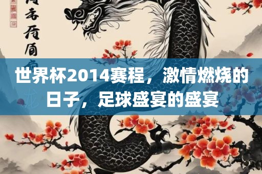 世界杯2014赛程，激情燃烧的日子，足球盛宴的盛宴