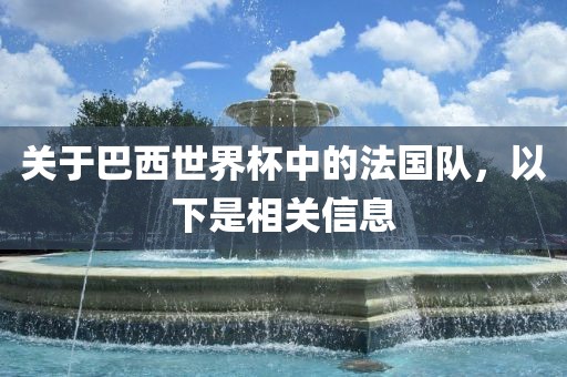 关于巴西世界杯中的法国队，以下是相关信息