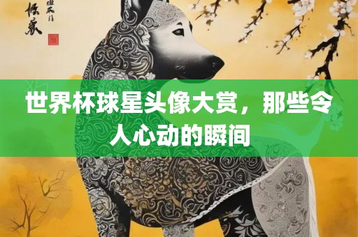 世界杯球星头像大赏，那些令人心动的瞬间
