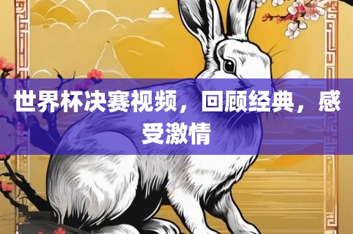 世界杯决赛视频，回顾经典，感受激情