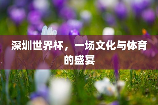 深圳世界杯，一场文化与体育的盛宴江门市永晋源无纺布有限公司
