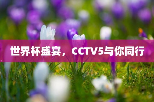 世界杯盛宴，CCTV5与你同行