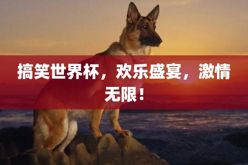 搞笑世界杯，欢乐盛宴，激情无限！