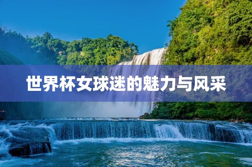 世界杯女球迷的魅力与风采