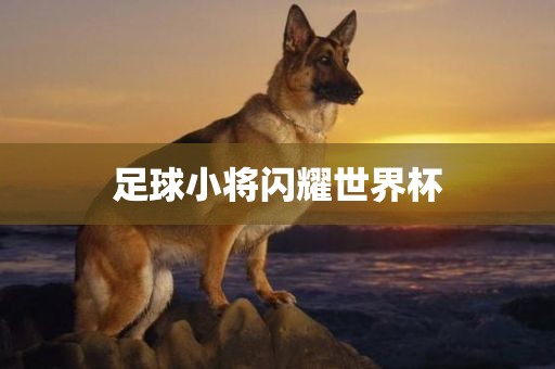 足球小将闪耀世界杯