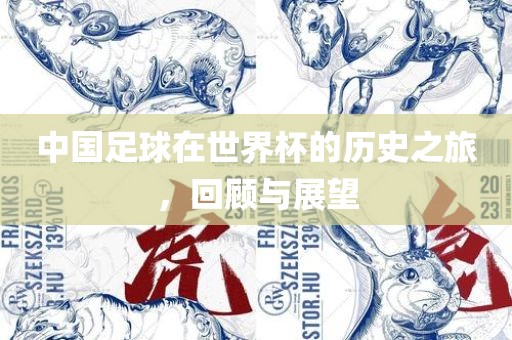 中国足球在世界杯的历史之旅，回顾与展望