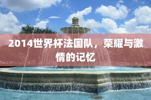 2014世界杯法国队，荣耀与激情的记忆