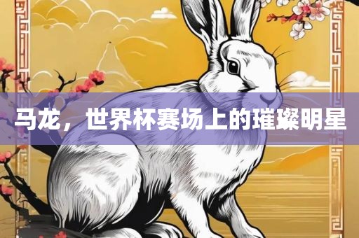 马龙，世界杯赛场上的璀璨明星