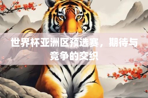 世界杯亚洲区预选赛，期待与竞争的交织