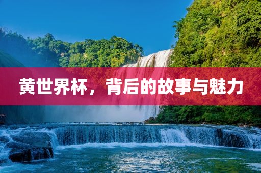 黄世界杯，背后的故事与魅力