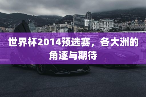 世界杯2014预选赛，各大洲的角逐与期待
