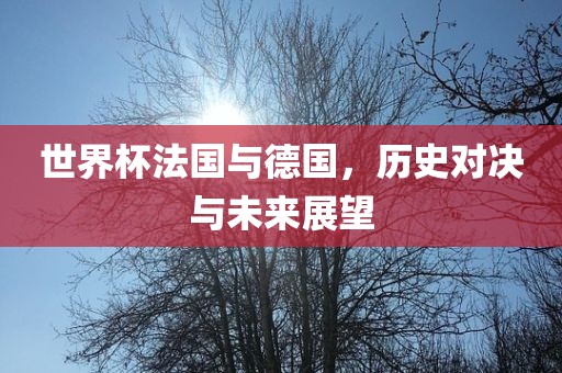 世界杯法国与德国，历史对决与未来展望