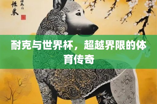 耐克与世界杯，超越界限的体育传奇