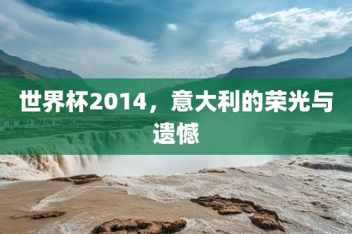 世界杯2014，意大利的荣光与遗憾