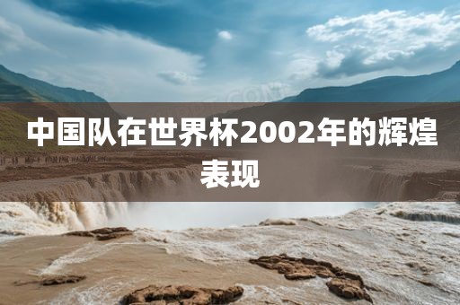 中国队在世界杯2002年的辉煌表现