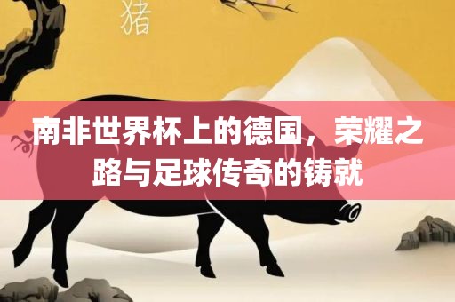 南非世界杯上的德国，荣耀之路与足球传奇的铸就